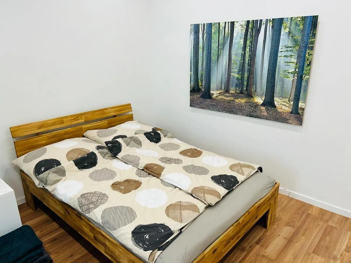 Long Term Central Renovated Apartment  Вена